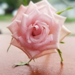 Meet your Posher, Kathy